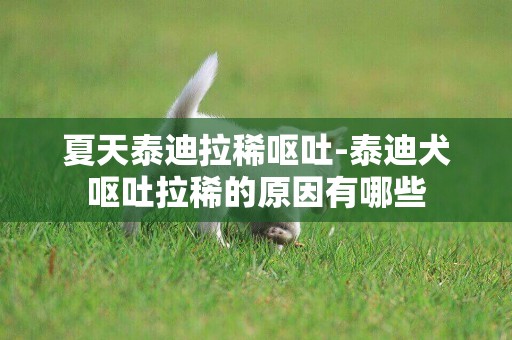 夏天泰迪拉稀嘔吐-泰迪犬嘔吐拉稀的原因有哪些