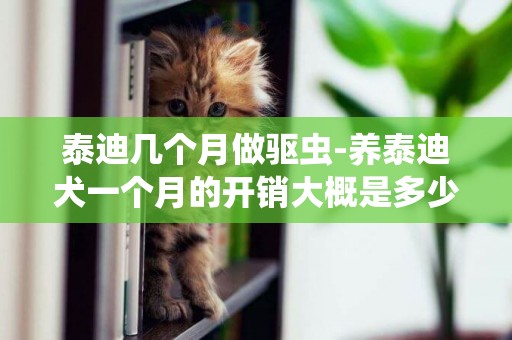 泰迪幾個月做驅蟲-養泰迪犬一個月的開銷大概是多少