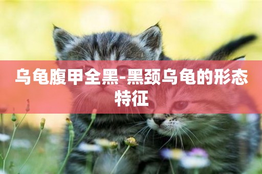 烏龜腹甲全黑-黑頸烏龜的形態特征