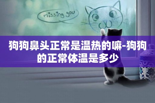 狗狗鼻頭正常是溫熱的嘛-狗狗的正常體溫是多少