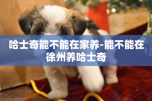 哈士奇能不能在家養-能不能在徐州養哈士奇