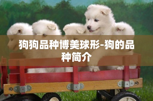狗狗品種博美球形-狗的品種簡介