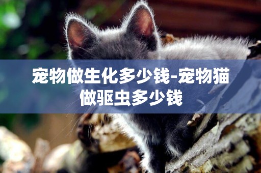 寵物做生化多少錢-寵物貓做驅蟲多少錢