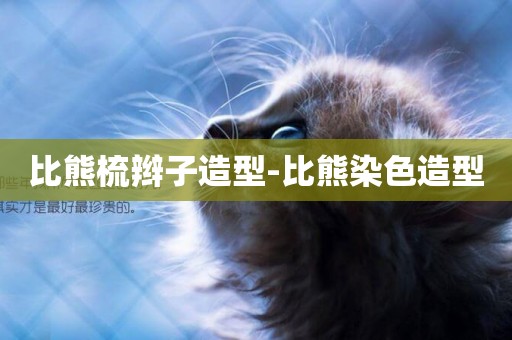 比熊梳辮子造型-比熊染色造型
