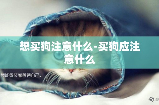 想買狗注意什么-買狗應注意什么