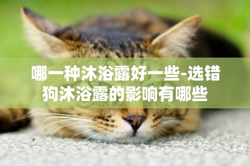 哪一種沐浴露好一些-選錯狗沐浴露的影響有哪些