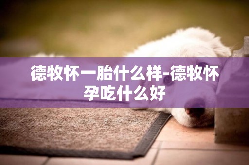 德牧懷一胎什么樣-德牧懷孕吃什么好