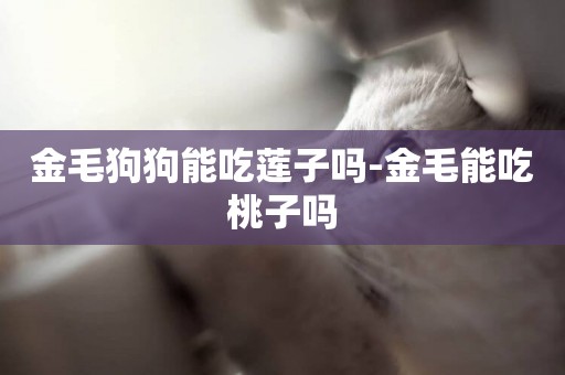 金毛狗狗能吃蓮子嗎-金毛能吃桃子嗎