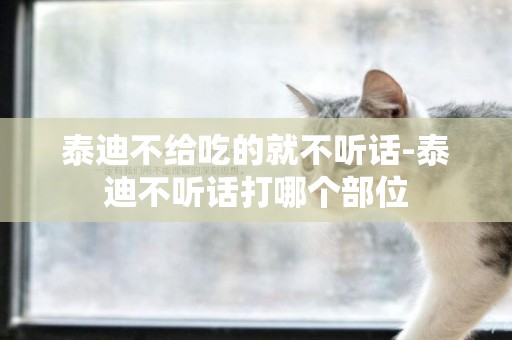 泰迪不給吃的就不聽話-泰迪不聽話打哪個部位