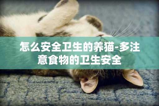 怎么安全衛生的養貓-多注意食物的衛生安全