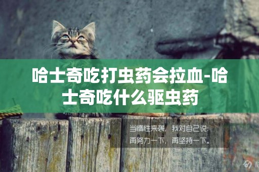 哈士奇吃打蟲藥會拉血-哈士奇吃什么驅蟲藥