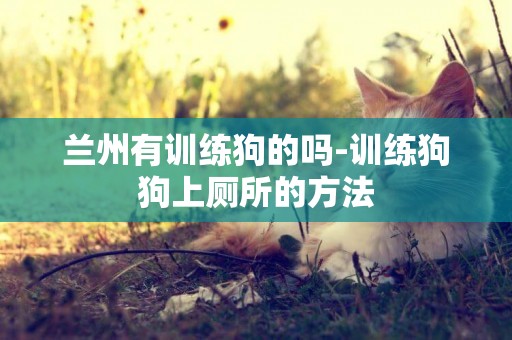 蘭州有訓練狗的嗎-訓練狗狗上廁所的方法