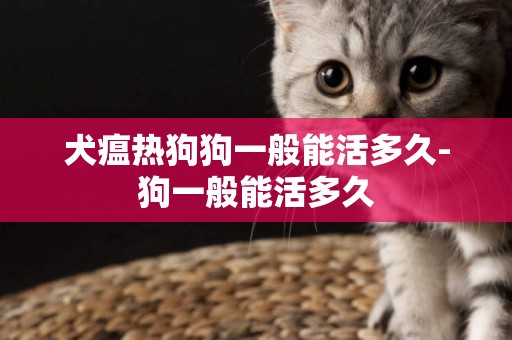 犬瘟熱狗狗一般能活多久-狗一般能活多久