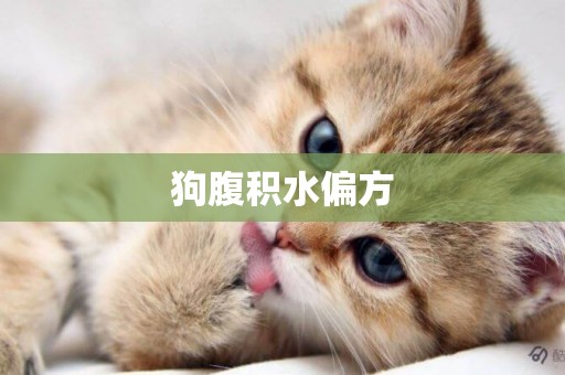 狗腹積水偏方