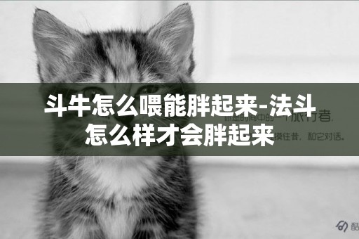 斗牛怎么喂能胖起來-法斗怎么樣才會胖起來