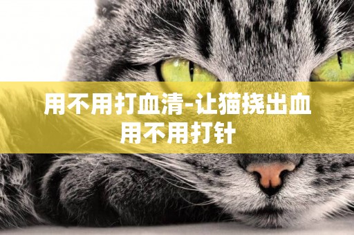 用不用打血清-讓貓撓出血用不用打針
