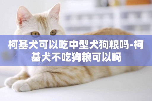 柯基犬可以吃中型犬狗糧嗎-柯基犬不吃狗糧可以嗎