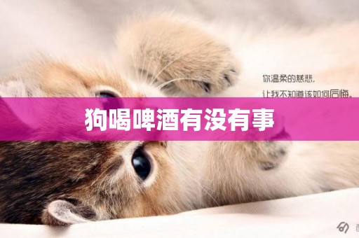 狗喝啤酒有沒有事