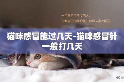 貓咪感冒能過幾天-貓咪感冒針一般打幾天