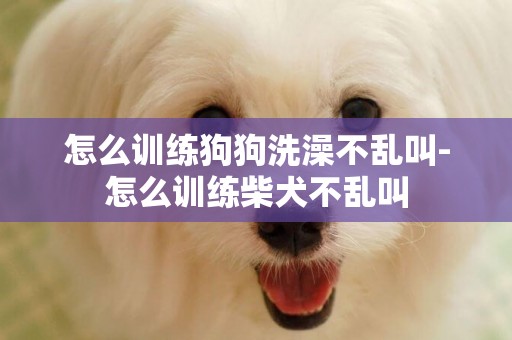 怎么訓練狗狗洗澡不亂叫-怎么訓練柴犬不亂叫