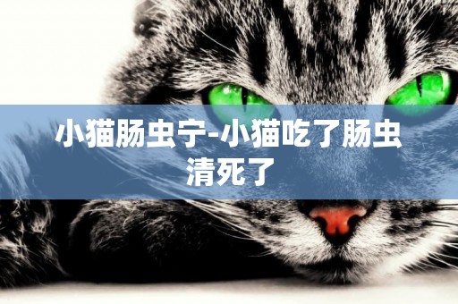小貓腸蟲寧-小貓吃了腸蟲清死了