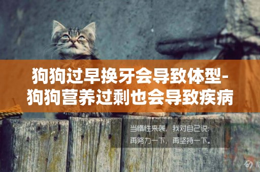 狗狗過早換牙會導致體型-狗狗營養過剩也會導致疾病