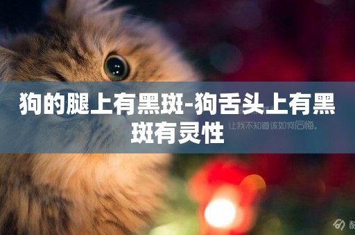 狗的腿上有黑斑-狗舌頭上有黑斑有靈性