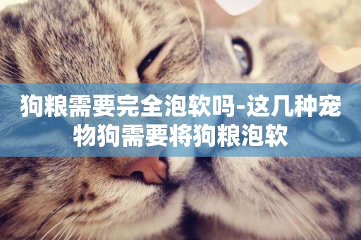 狗糧需要完全泡軟嗎-這幾種寵物狗需要將狗糧泡軟