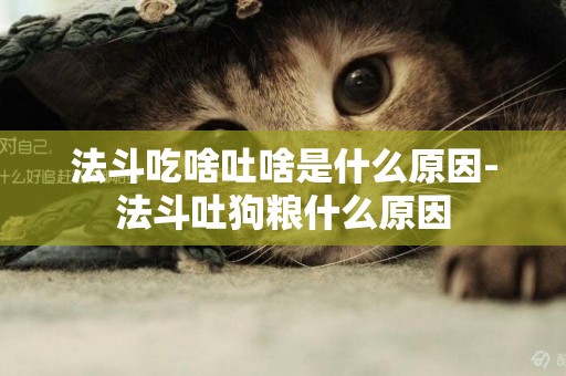 法斗吃啥吐啥是什么原因-法斗吐狗糧什么原因