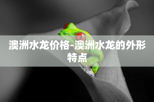 澳洲水龍價格-澳洲水龍的外形特點