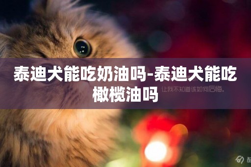 泰迪犬能吃奶油嗎-泰迪犬能吃橄欖油嗎