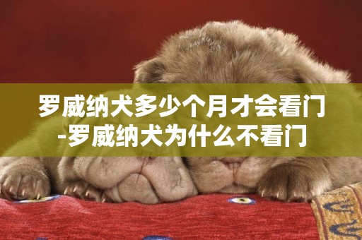 羅威納犬多少個月才會看門-羅威納犬為什么不看門