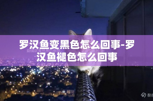 羅漢魚變黑色怎么回事-羅漢魚褪色怎么回事