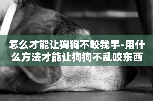 怎么才能讓狗狗不咬我手-用什么方法才能讓狗狗不亂咬東西