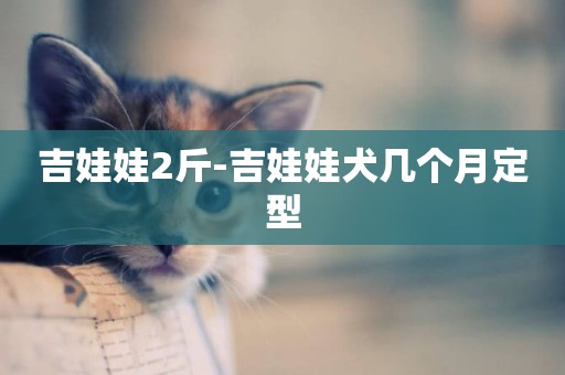 吉娃娃2斤-吉娃娃犬幾個月定型