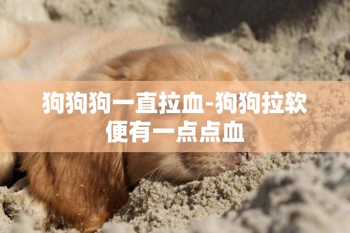 狗狗狗一直拉血-狗狗拉軟便有一點點血