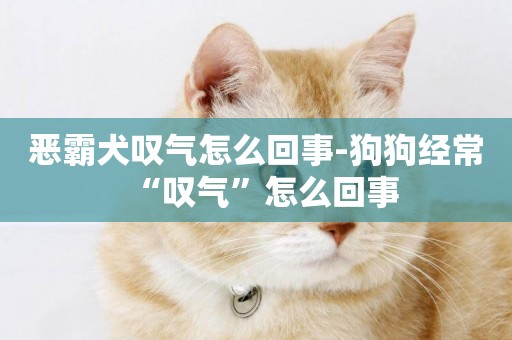 惡霸犬嘆氣怎么回事-狗狗經常“嘆氣”怎么回事