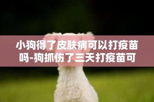 小狗得了皮膚病可以打疫苗嗎-狗抓傷了三天打疫苗可以嗎