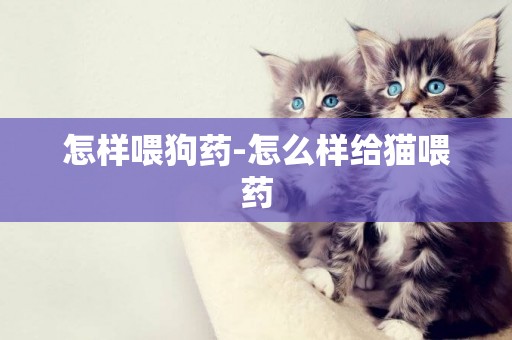 怎樣喂狗藥-怎么樣給貓喂藥