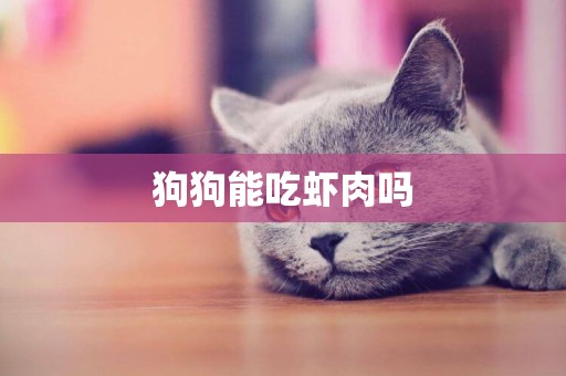 狗狗能吃蝦肉嗎