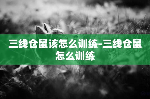 三線倉鼠該怎么訓練-三線倉鼠怎么訓練