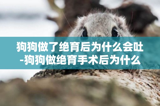 狗狗做了絕育后為什么會吐-狗狗做絕育手術后為什么不敢走路