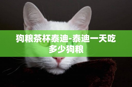 狗糧茶杯泰迪-泰迪一天吃多少狗糧