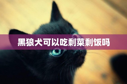 黑狼犬可以吃剩菜剩飯嗎