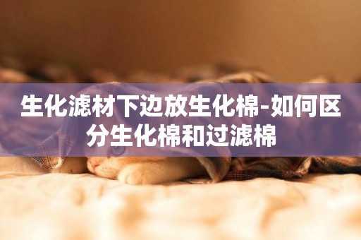 生化濾材下邊放生化棉-如何區分生化棉和過濾棉