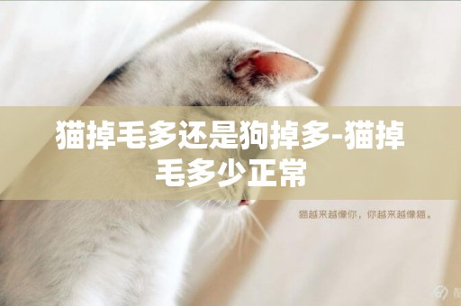 貓掉毛多還是狗掉多-貓掉毛多少正常