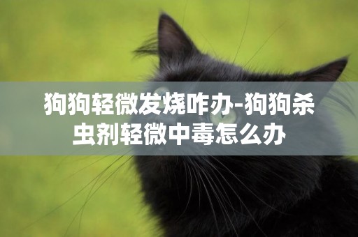 狗狗輕微發燒咋辦-狗狗殺蟲劑輕微中毒怎么辦