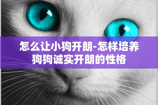 怎么讓小狗開朗-怎樣培養狗狗誠實開朗的性格