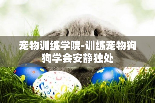 寵物訓練學院-訓練寵物狗狗學會安靜獨處