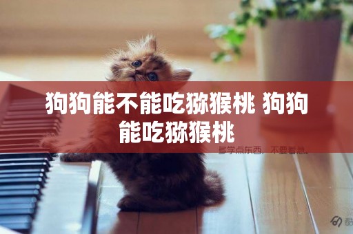 狗狗能不能吃獼猴桃 狗狗能吃獼猴桃